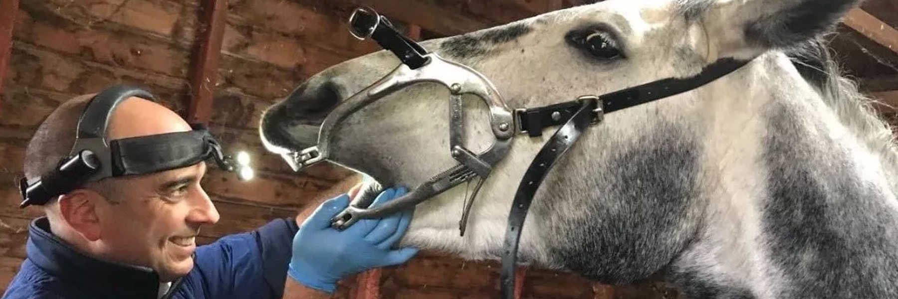 Equine Instruments